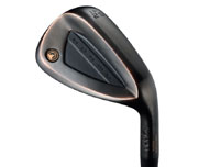 HONMAWEDGE