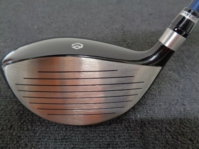 DF-01 DEAD OR ALIVE DEAD OR ALIVE 禅 Z55レンチナシ エポン