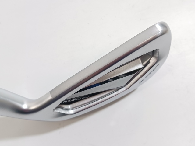 JPX 925 HOTMETAL PRO ＃6単品 Dynamic Gold 105 ミズノ アイアン