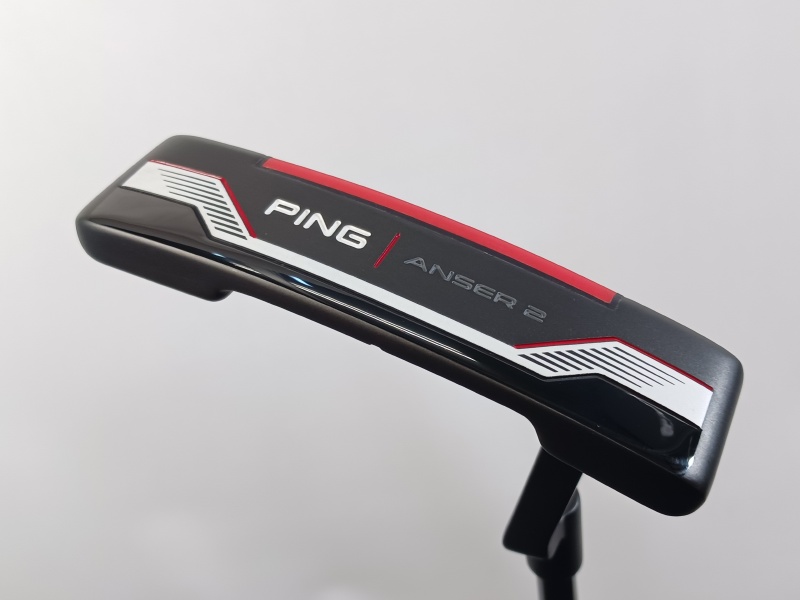 �s��/PING 2021 ANSER 2