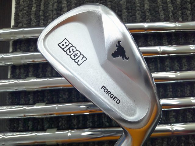 BISON