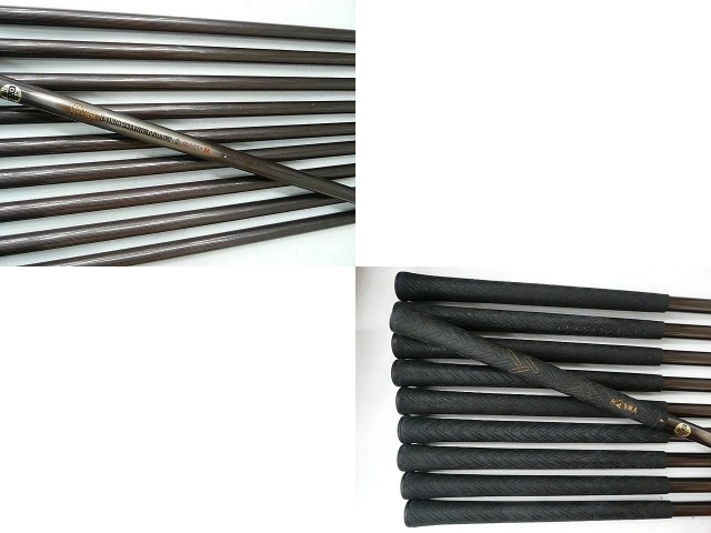 ツインマークスプロチューン-S ドリスタン(1S) 10S ホンマ アイアン