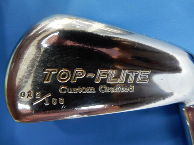 TOP-FLITE Custom Grafted DG スポルディング アイアンセット クラブ