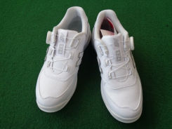 ̑/j[oXWGBS574CWH22.5pfB[X