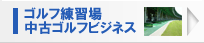 �S���t���K�ꒆ�ÃS���t�r�W�l�X