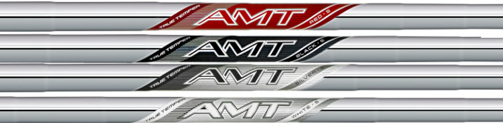 TRUE TEMPER AMT 2025