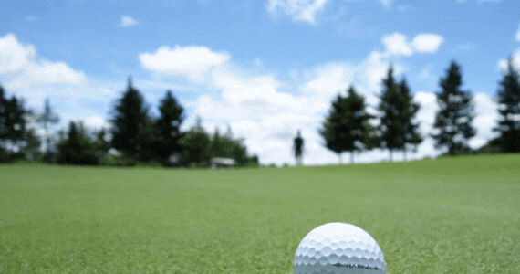 �~�j�h���C�o�[���W